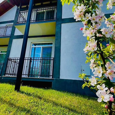 Hotel Vila Salzburg Ocna Sibiului Exterior foto