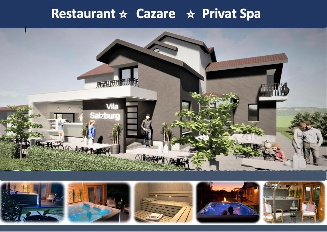Hotel Vila Salzburg Ocna Sibiului Exterior foto