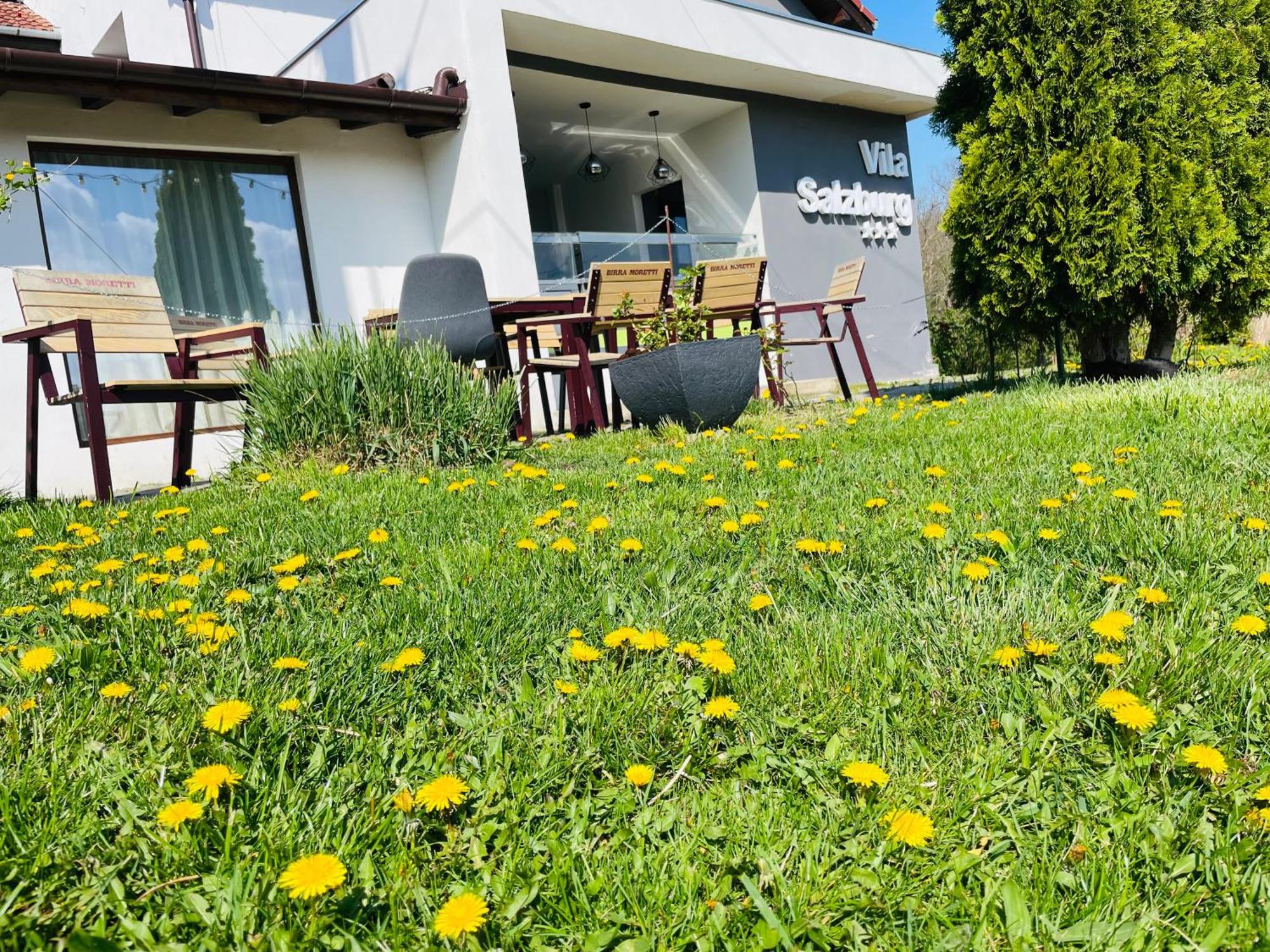 Hotel Vila Salzburg Ocna Sibiului Exterior foto