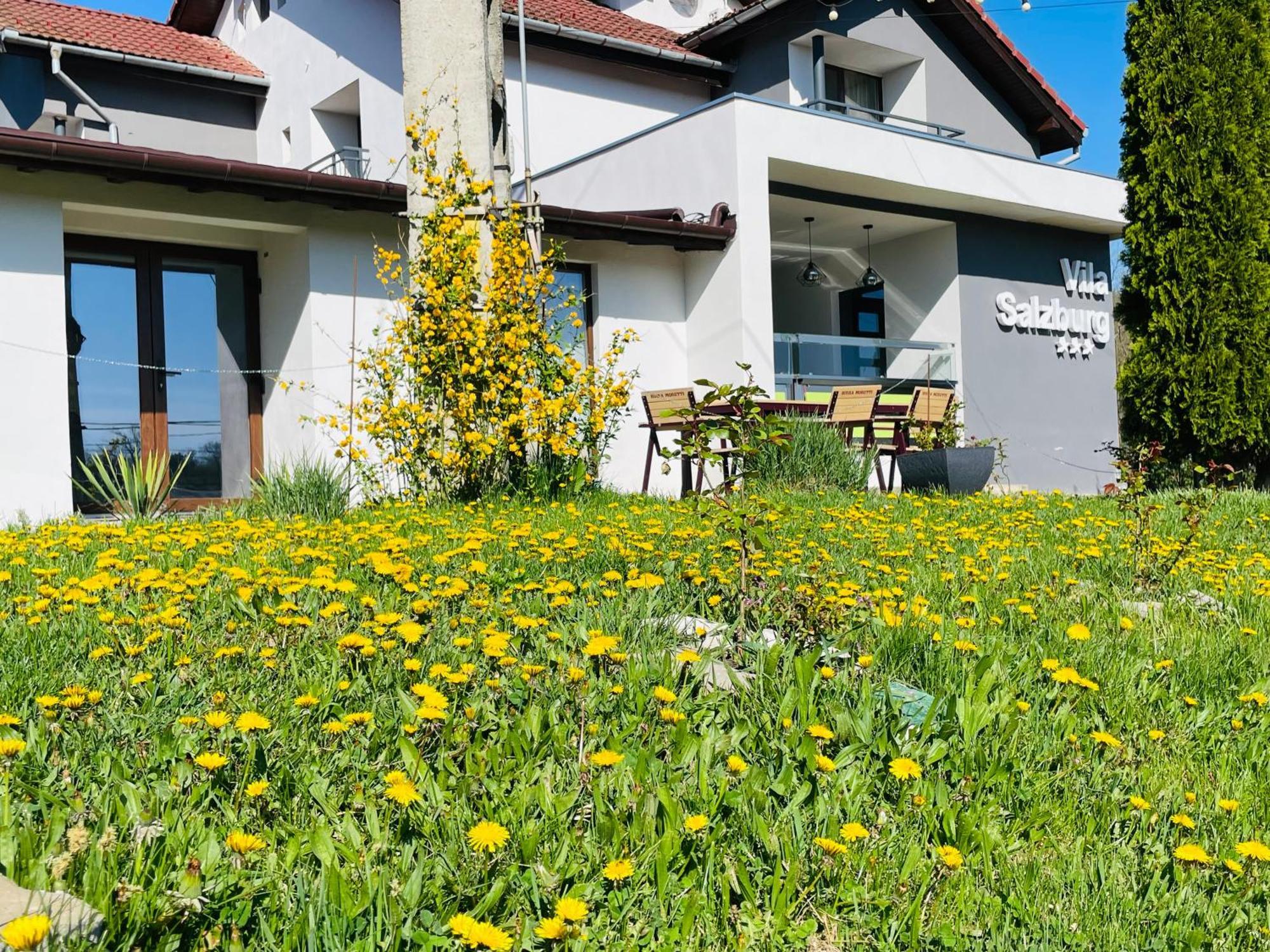 Hotel Vila Salzburg Ocna Sibiului Exterior foto